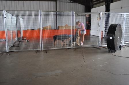 Spacious Indoor Kennel