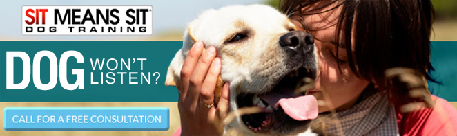Corpus Christi Dog Training | 361-236-5748