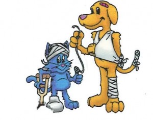 pet_first_aid_dog