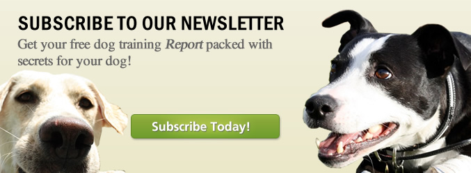 newsletter_slie14