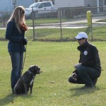 A man and woman training a dog in the park