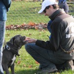 A dog trainer petting a dog kneeling on the grass