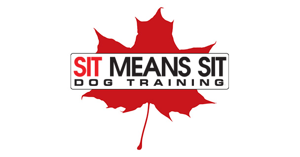 Jessica Barnett dog trainer in Durham Region Canada.