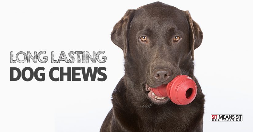Long Lasting Chew Toys for Dogs