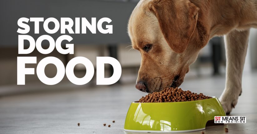 Tips for Storing Your Dog's Food