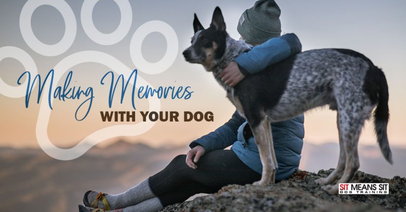 Tips for Making Lasting Memories with Your Dog