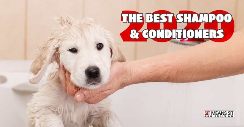 The Best Shampoo & Conditioners for Dog Baths 2020