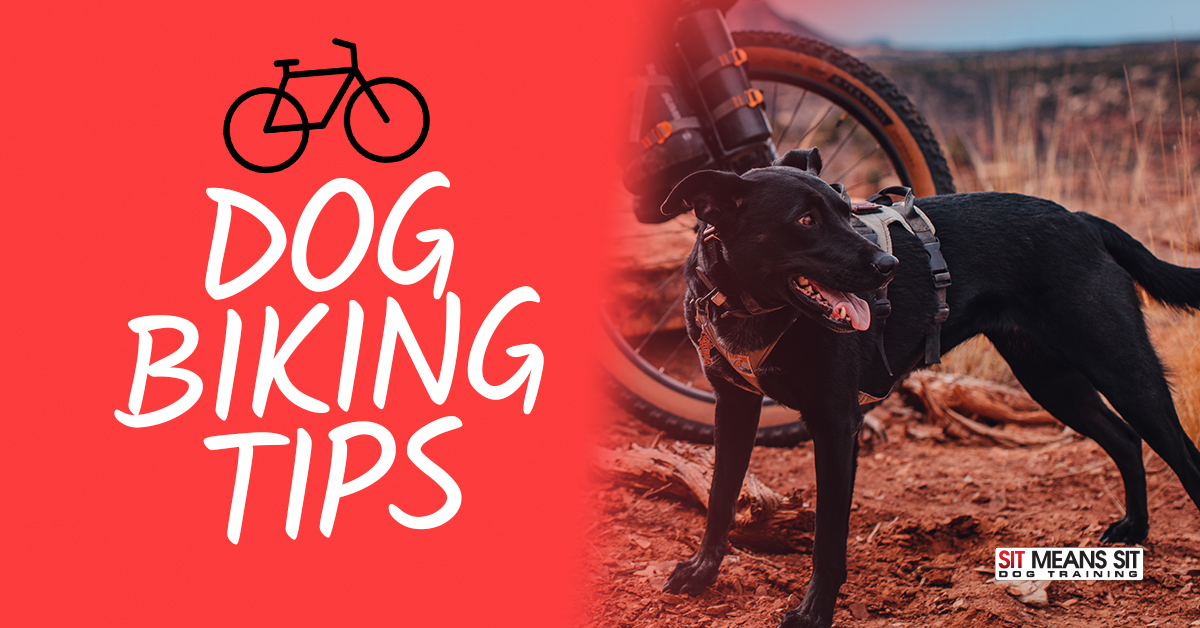 Dog Biking Tips