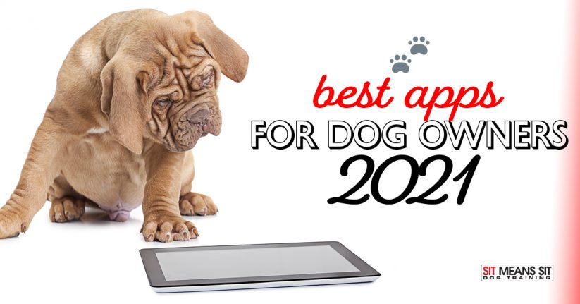 Best Apps for Dog Owners 2021