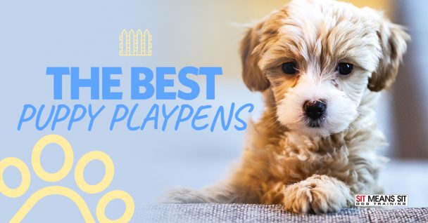 The Best Puppy Playpens