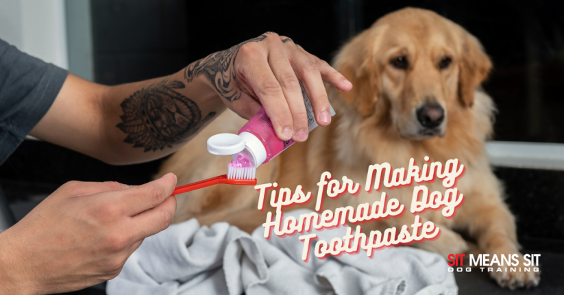 Tips for Making Homemade Dog Toothpaste
