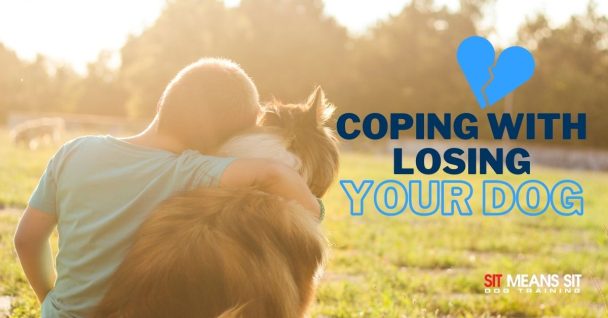 Coping with Losing a Dog