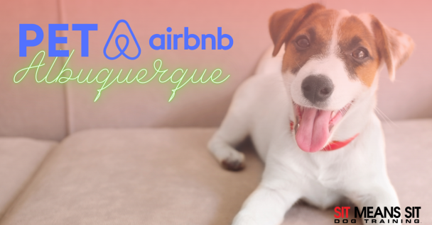 A dog sitting on a couch smiling with the text pet Airbnb Albuquerque