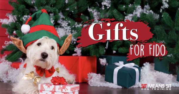 What You Should Get Your Dog for Christmas this Year