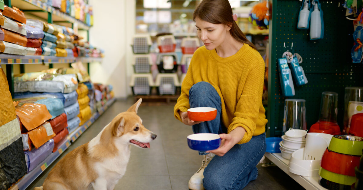 A dog at the store