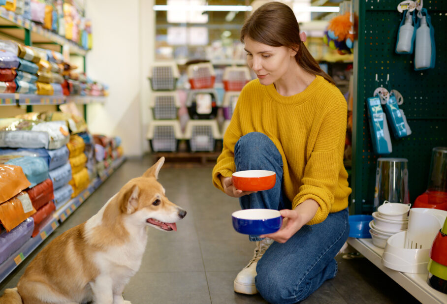 A dog at the store