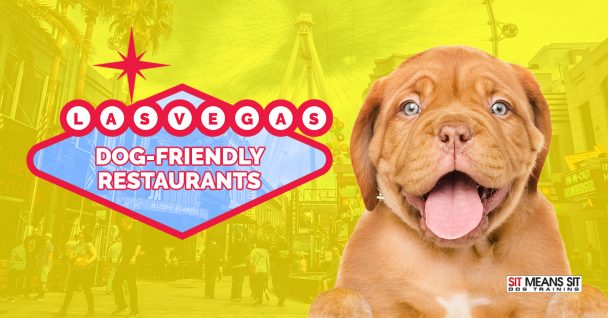 A playful puppy with a bright, colorful background promoting dog-friendly restaurants in Las Vegas.