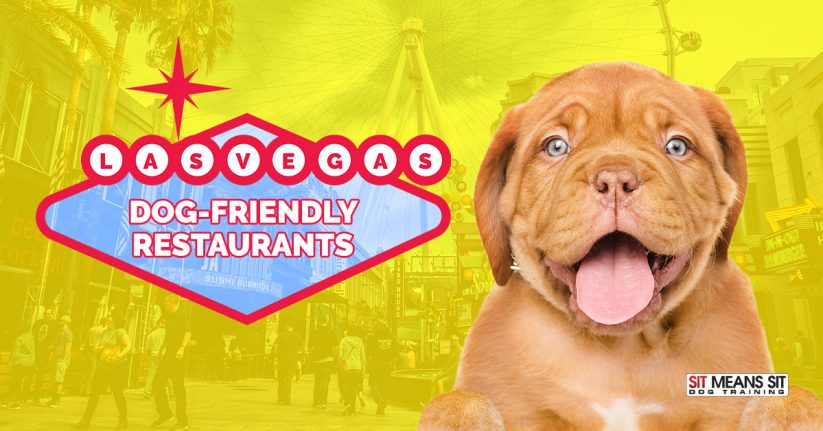 Las Vegas Dog-Friendly Restaurants