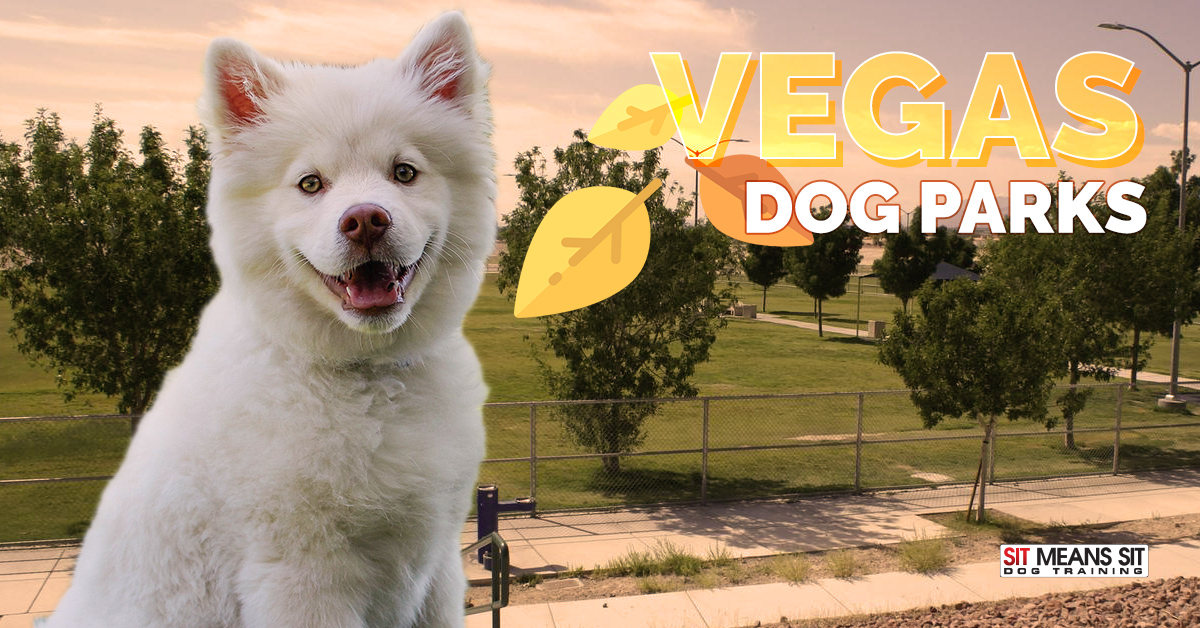 A smiling Samoyed dog in front of a park with text overlay: "Vegas Dog Parks" and autumn leaves.
