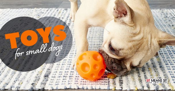 Toys Specifically for Small Dogs
