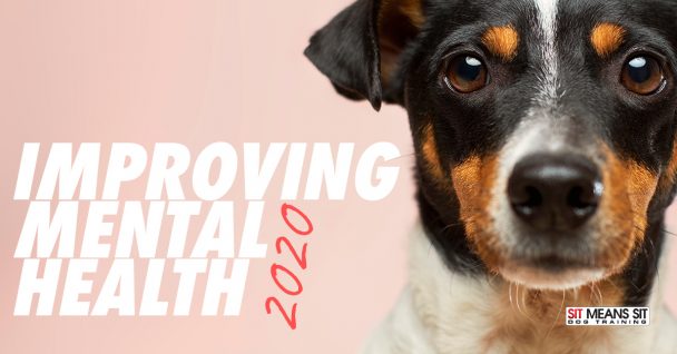 How Dogs Improve Mental Health in 2020