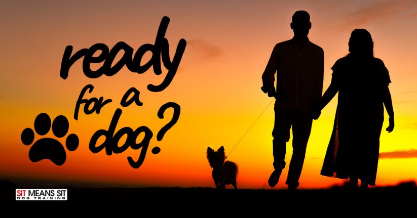 Is Your Family Ready for a Dog?