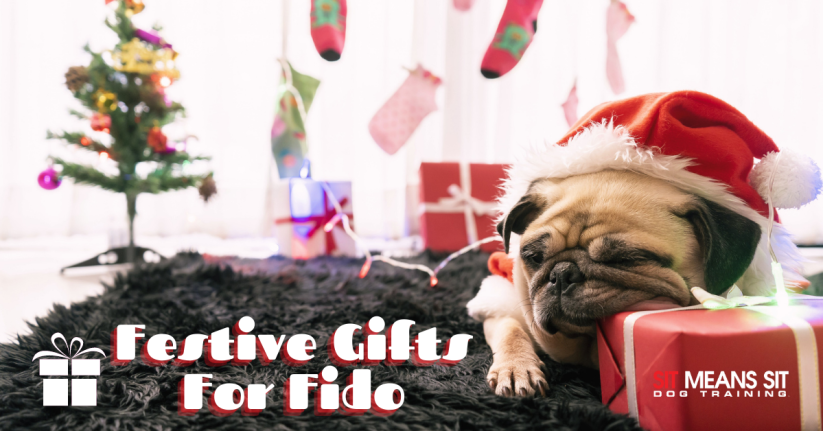 Check Out These Fun Festive Gifts For Fido