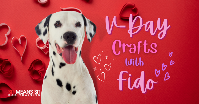 Valentine's Day Crafts You Can Do with Fido