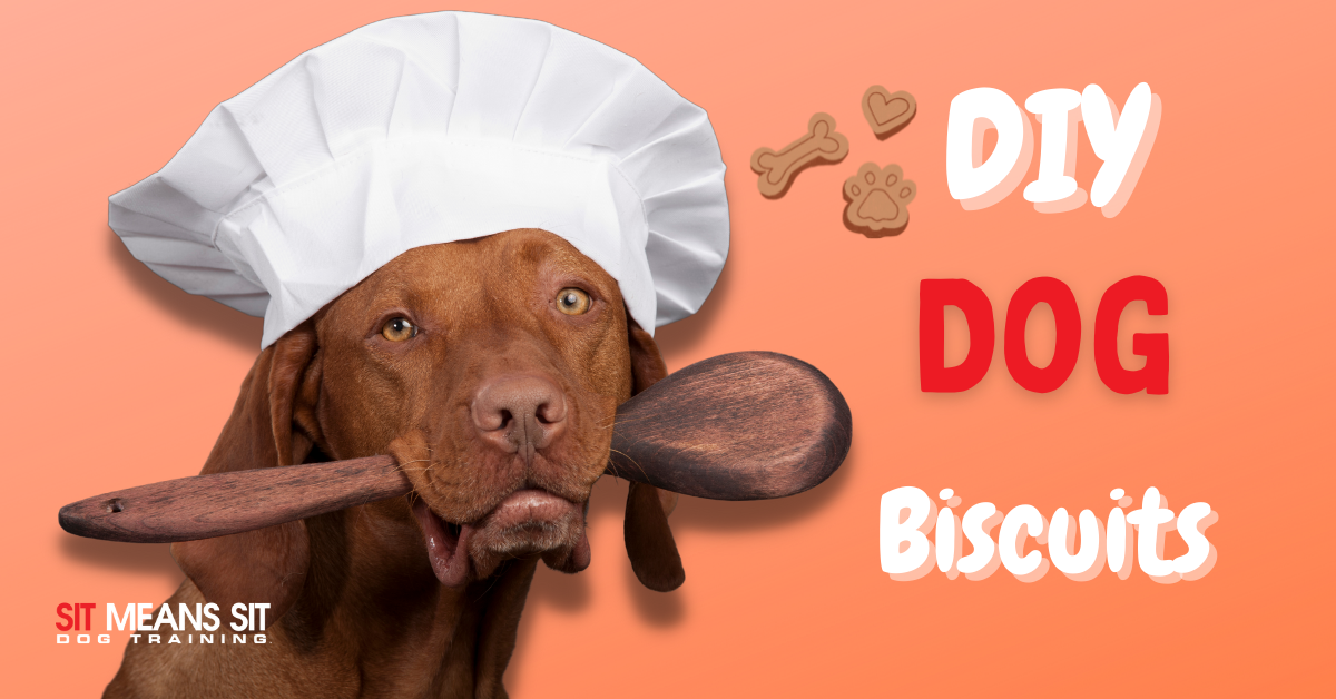 DIY Dog Biscuits