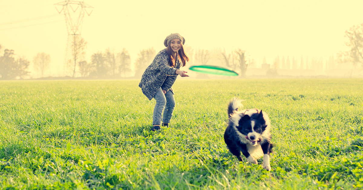 A young woman in a hat and cozy sweater is playing with her black and white dog in a large grassy field | Private Dog Training Lessons - Dog Training offer by Sit Means Sit Henderson