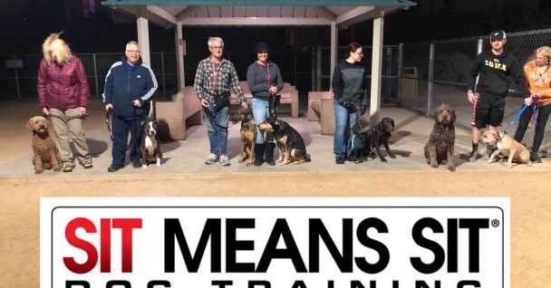 A group of dog owners with their trained dogs standing in a row at a dog training class.
