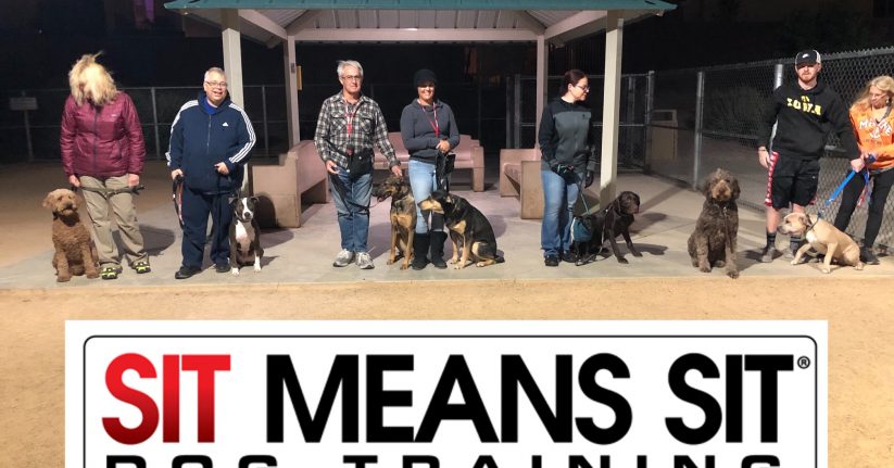A group of dog owners with their trained dogs standing in a row at a dog training class.
