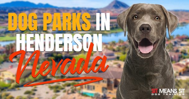 Dog Parks in Henderson, NV
