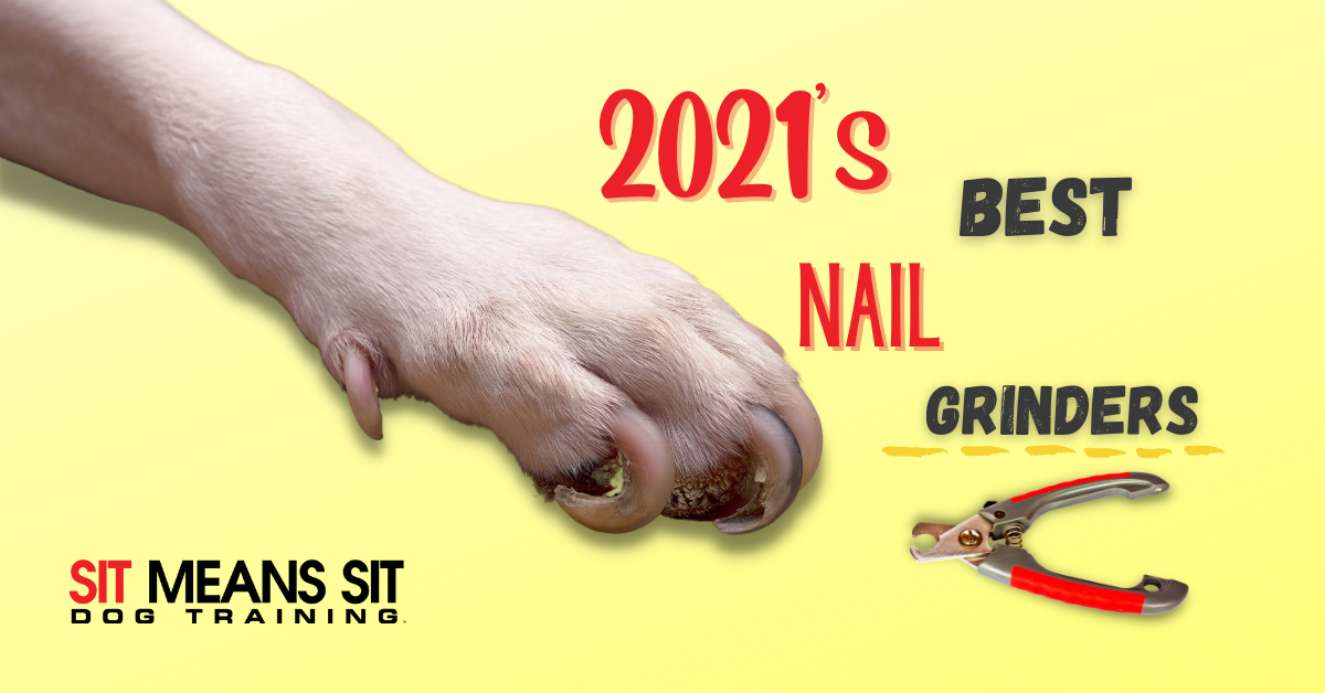 2021 best dog nail grinders