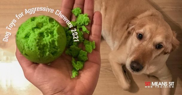 Dog Toys for Aggressive Chewers 2021
