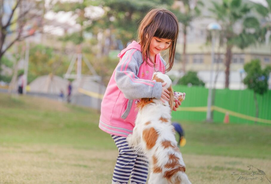 A little girl playing with a dog in the park