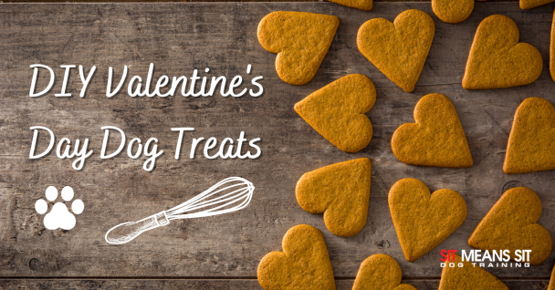 DIY valentine's day dog treats poster