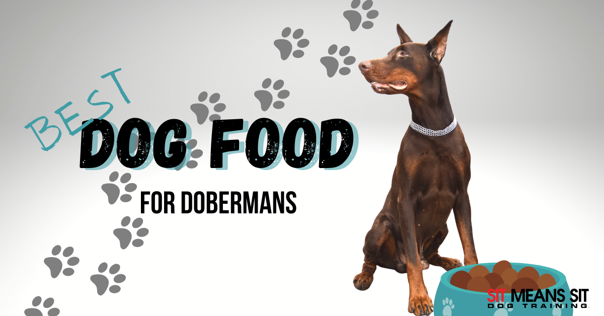 The best dog food for dobermans