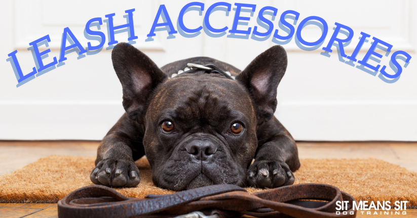 A dog laying on a mat with a leash in front with the title Leash accessories poster