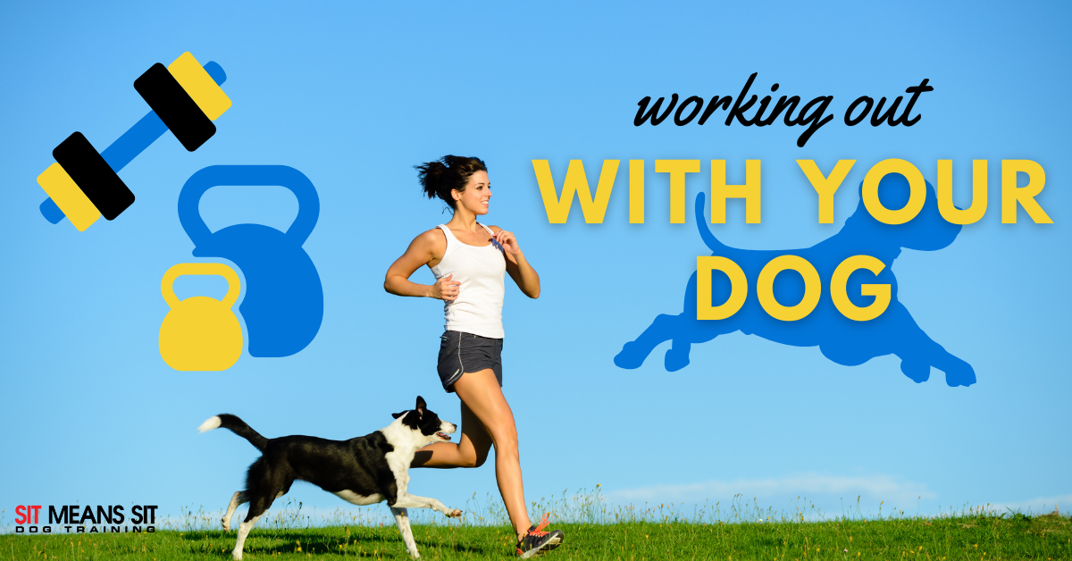 A woman and dog running with the text working out with your dog poster