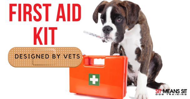 A dog with a thermometer in his mouth with the text first aid kit poster