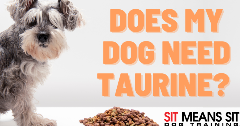 Does My Dog Need Taurine?