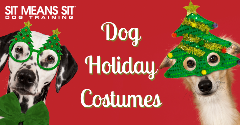 The Best Holiday Dog Costumes