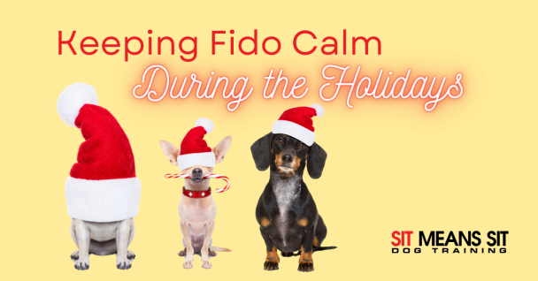 Three dogs wearing Santa hats with the text "Keeping Fido Calm During the Holidays."