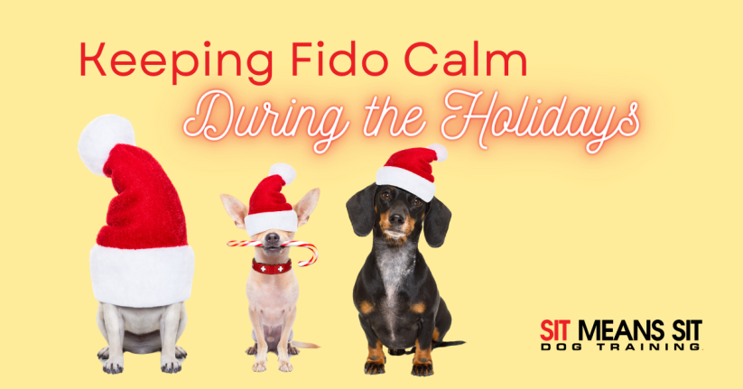 Festive Fidos: How to Keep Your Dog Calm this Holiday Season