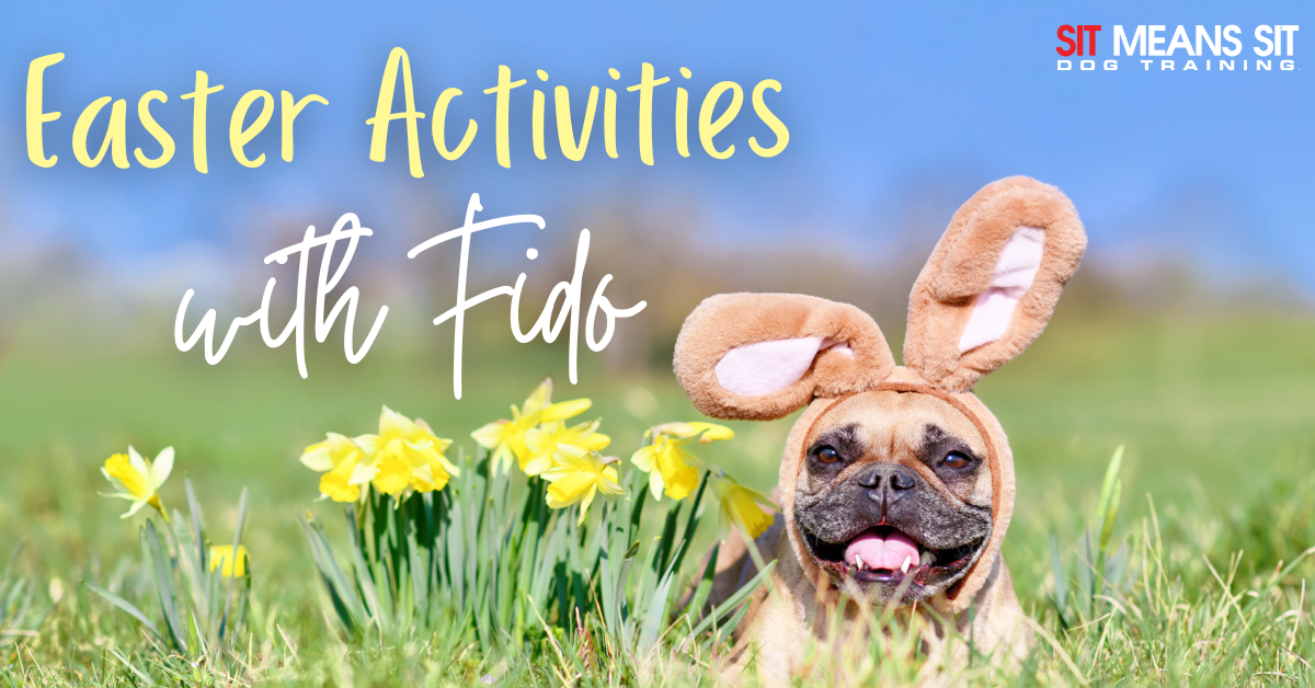 A dog wearing bunny ears sits among daffodils, with text about Easter activities.