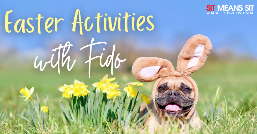 Fun Easter Activities You Can Do with Fido