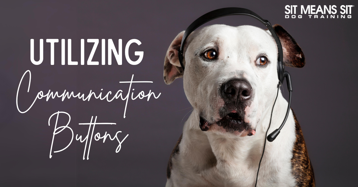 A dog wearing a headset, with text about utilizing communication buttons.