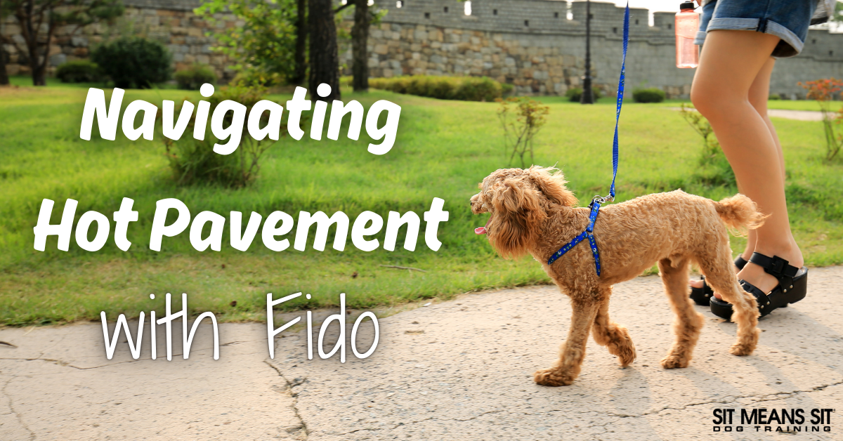 A person walks a dog on a sunny day with a caption about navigating hot pavement.