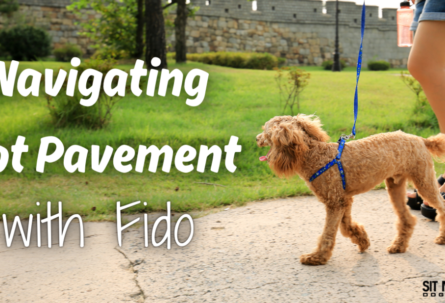 A person walks a dog on a sunny day with a caption about navigating hot pavement.